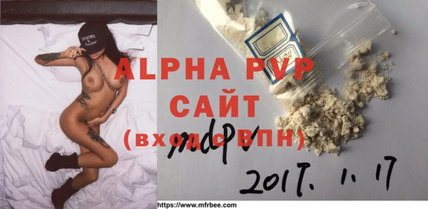 прущие грибы Верея