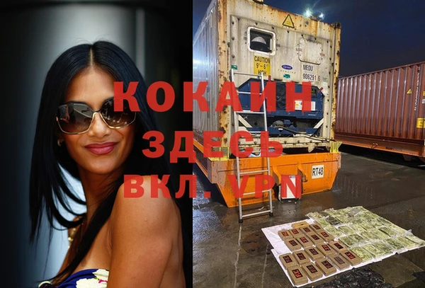 прущие грибы Верея