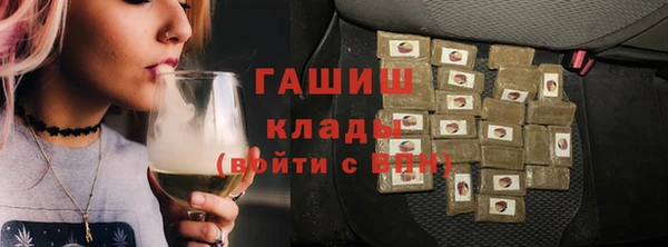 прущие грибы Верея