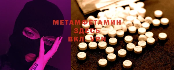 прущие грибы Верея