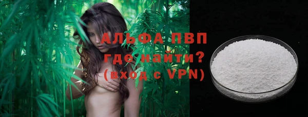 прущие грибы Верея