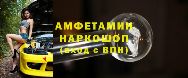 прущие грибы Верея