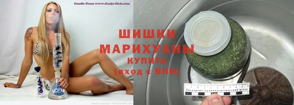 прущие грибы Верея