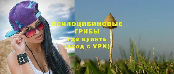 прущие грибы Верея