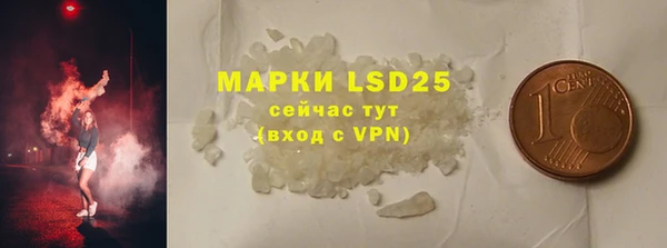 прущие грибы Верея