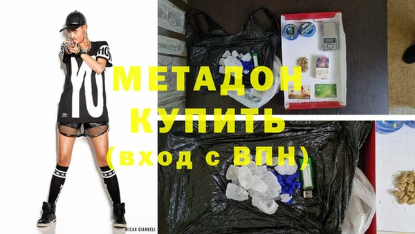 прущие грибы Верея