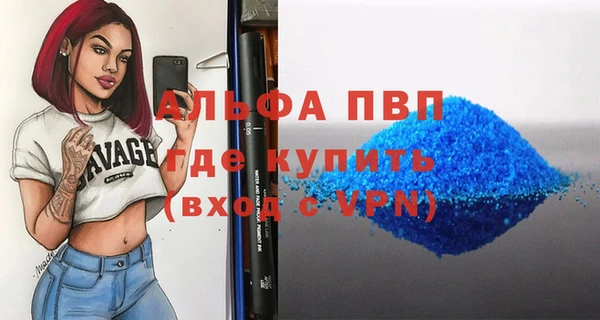 прущие грибы Верея