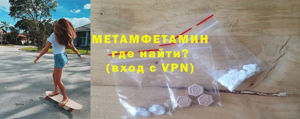 прущие грибы Верея