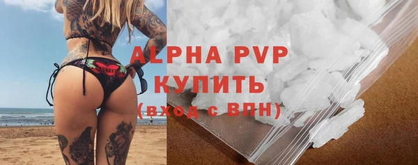 прущие грибы Верея